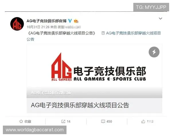 提升AG电子评级的实用技巧与策略详解，帮助玩家优化游戏体验