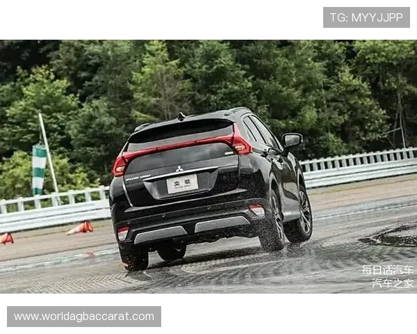 EVO真人游戏中的常见问题与解决方案，帮助玩家顺利应对各种挑战