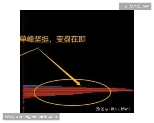 如何在真人赢三张免费版中快速积累筹码实现稳步赢利的实用技巧